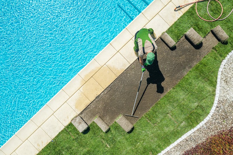 vegetation around the pool